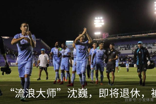 “流浪大师”沈巍，即将退休，被封号