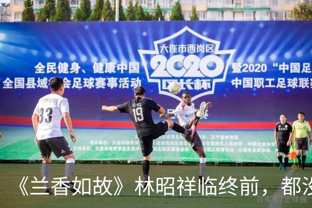 《兰香如故》林昭祥临终前，都没有叫一声沈嘉兰，却把对牌交给了她