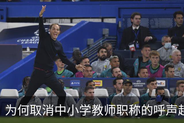 为何取消中小学教师职称的呼声越来越高？一线教师的苦衷值得正视