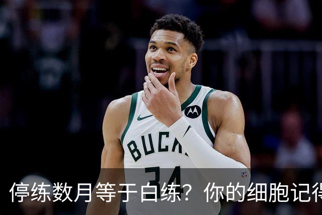 停练数月等于白练？你的细胞记得每一次流汗