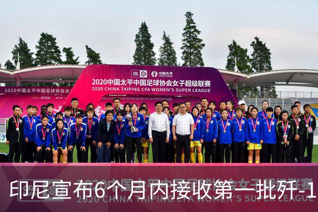 印尼宣布6个月内接收第一批歼-10CE，多少钱一架呢？