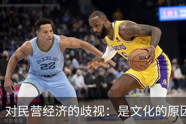 对民营经济的歧视：是文化的原因，还是意识形态的推动