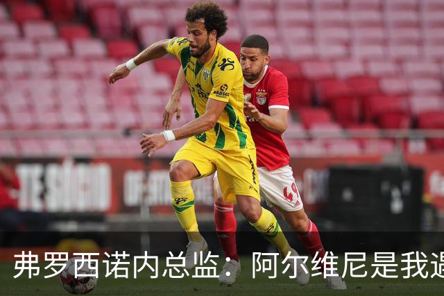 弗罗西诺内总监：阿尔维尼是我遇到过最出色教练之一