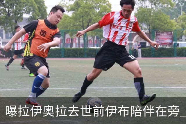 曝拉伊奥拉去世前伊布陪伴在旁 两人合作多年
