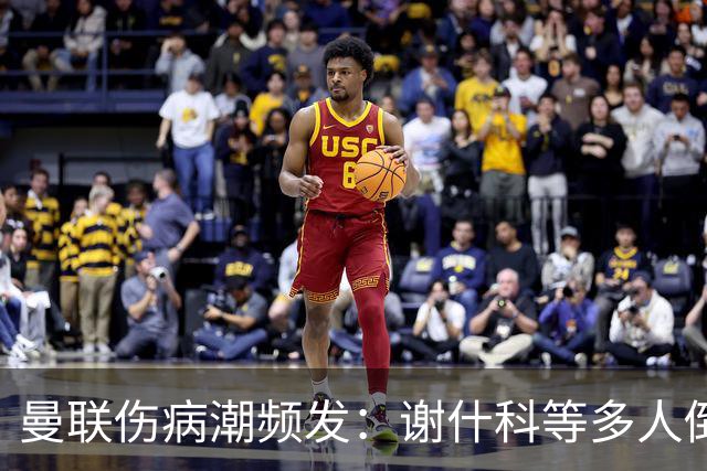曼联伤病潮频发：谢什科等多人倒下，管理层拟学布莱顿
