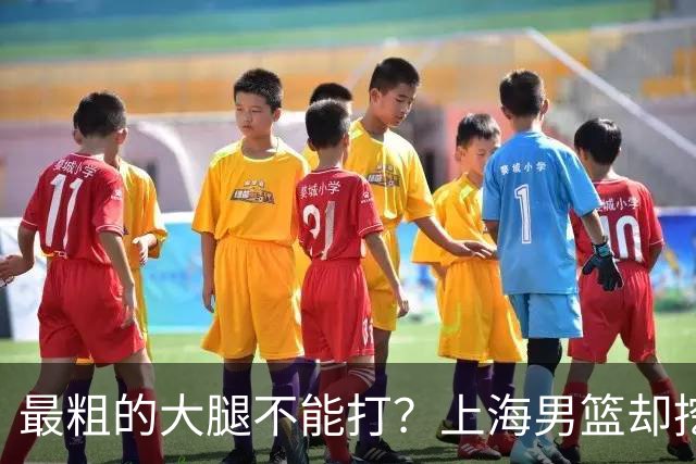 最粗的大腿不能打？上海男篮却挖出了另一条更粗的
