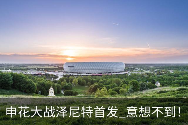 申花大战泽尼特首发 意想不到！ 阿苏埃没有回非洲 门将换人了