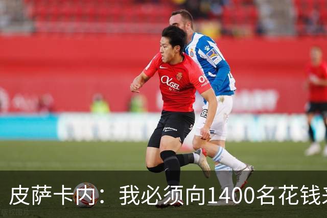 皮萨卡内：我必须向1400名花钱来看这样一场灾难的人道歉