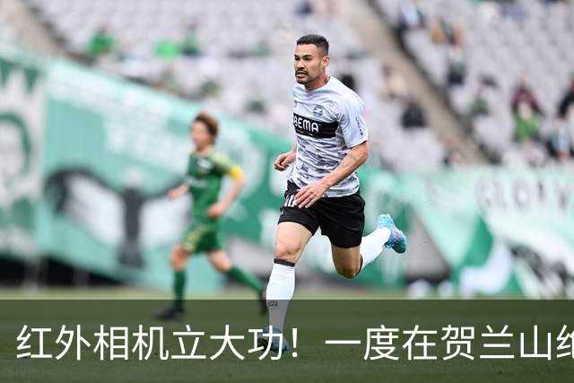 红外相机立大功！一度在贺兰山绝迹近70年，如今拍到一家三口同框
