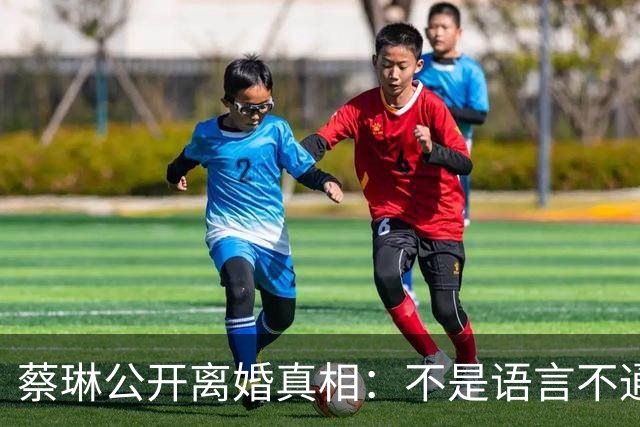 蔡琳公开离婚真相：不是语言不通，喜欢中国生活，自己开车去生娃