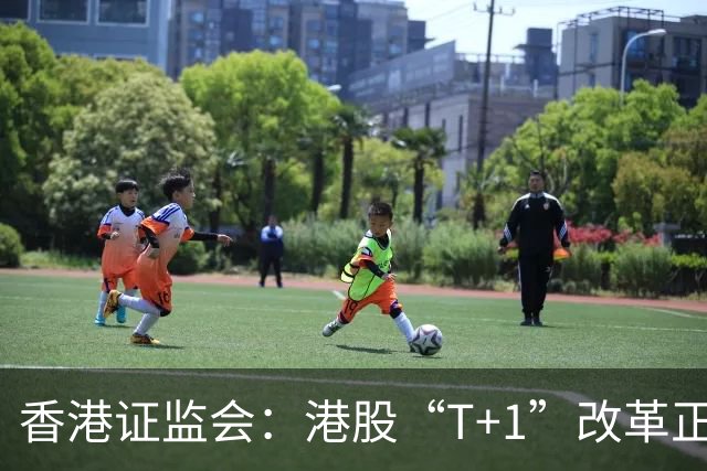 香港证监会：港股“T+1”改革正陆续推进 将就延长交易时段发讨论文件