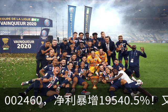 002460，净利暴增19540.5%！又一份三季报来了