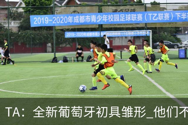 TA：全新葡萄牙初具雏形 他们不再像过去过度依赖C罗
